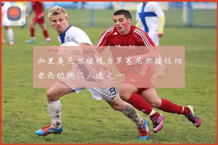 加里奥尼尔被视为罗塞尼尔接任切尔西的热门人选之一
