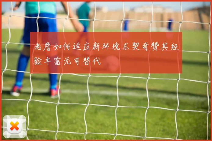 老詹如何适应新环境东契奇赞其经验丰富无可替代