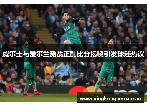 威尔士与爱尔兰激战正酣比分揭晓引发球迷热议